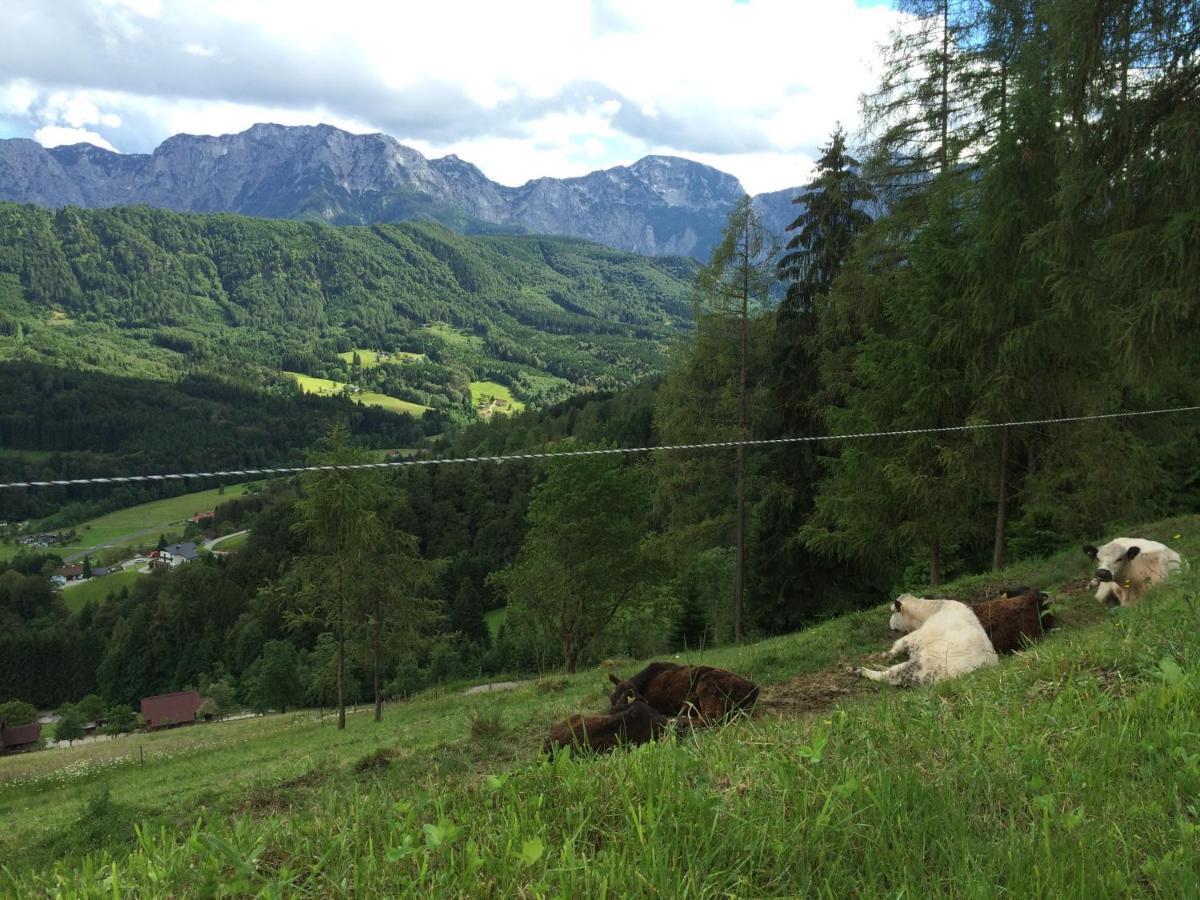 Kreitalm - Kraftplatz Im Salzkammergut Neukirchen  Dış mekan fotoğraf