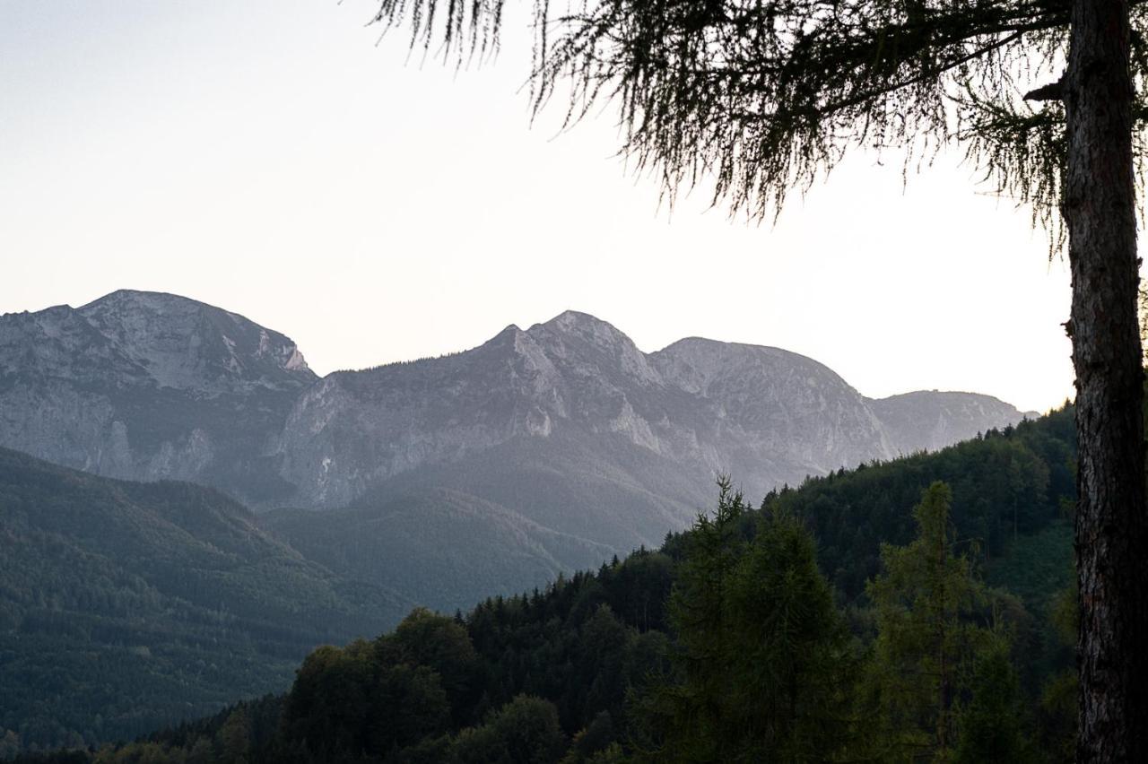 Kreitalm - Kraftplatz Im Salzkammergut Neukirchen  Dış mekan fotoğraf