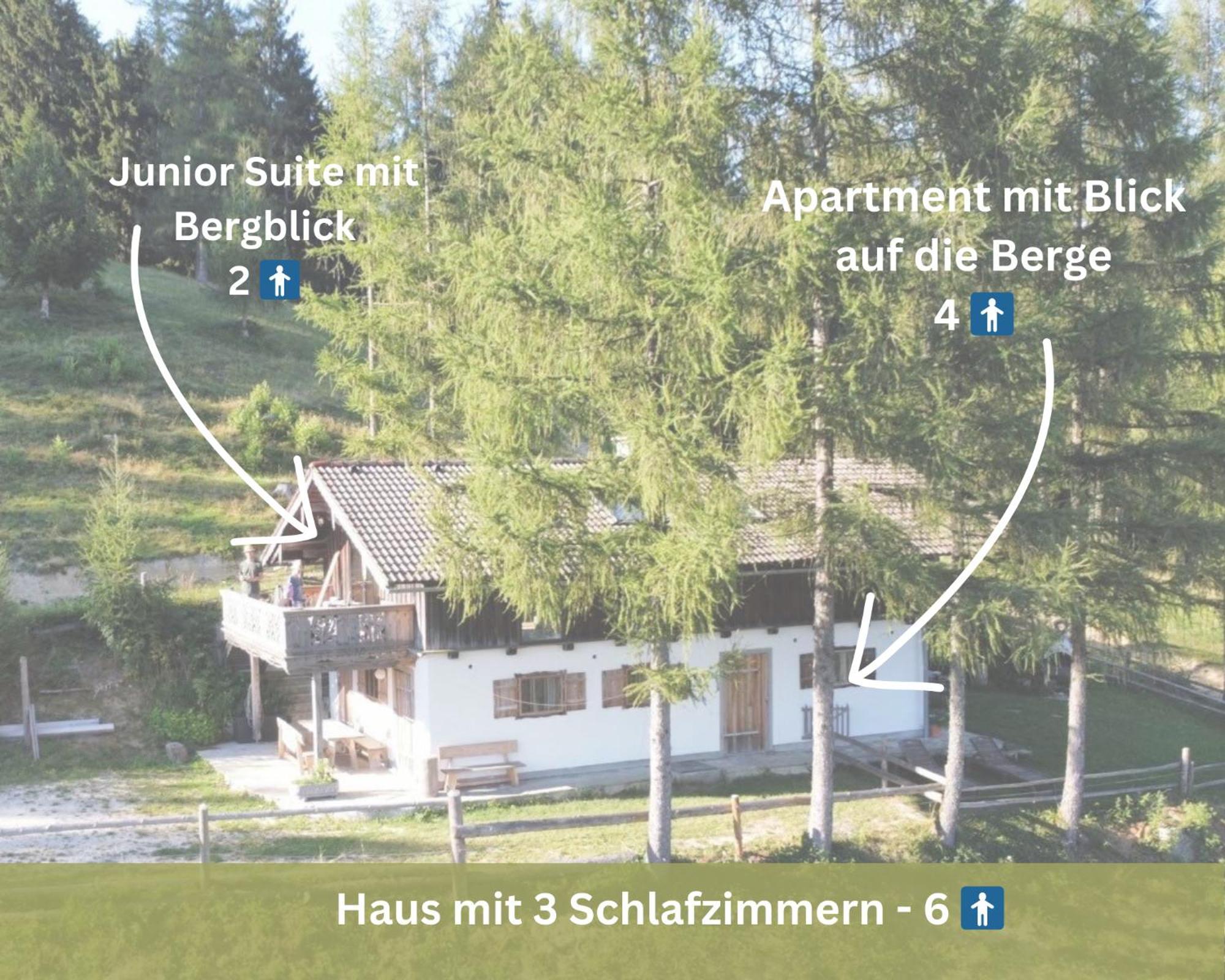Kreitalm - Kraftplatz Im Salzkammergut Neukirchen  Dış mekan fotoğraf